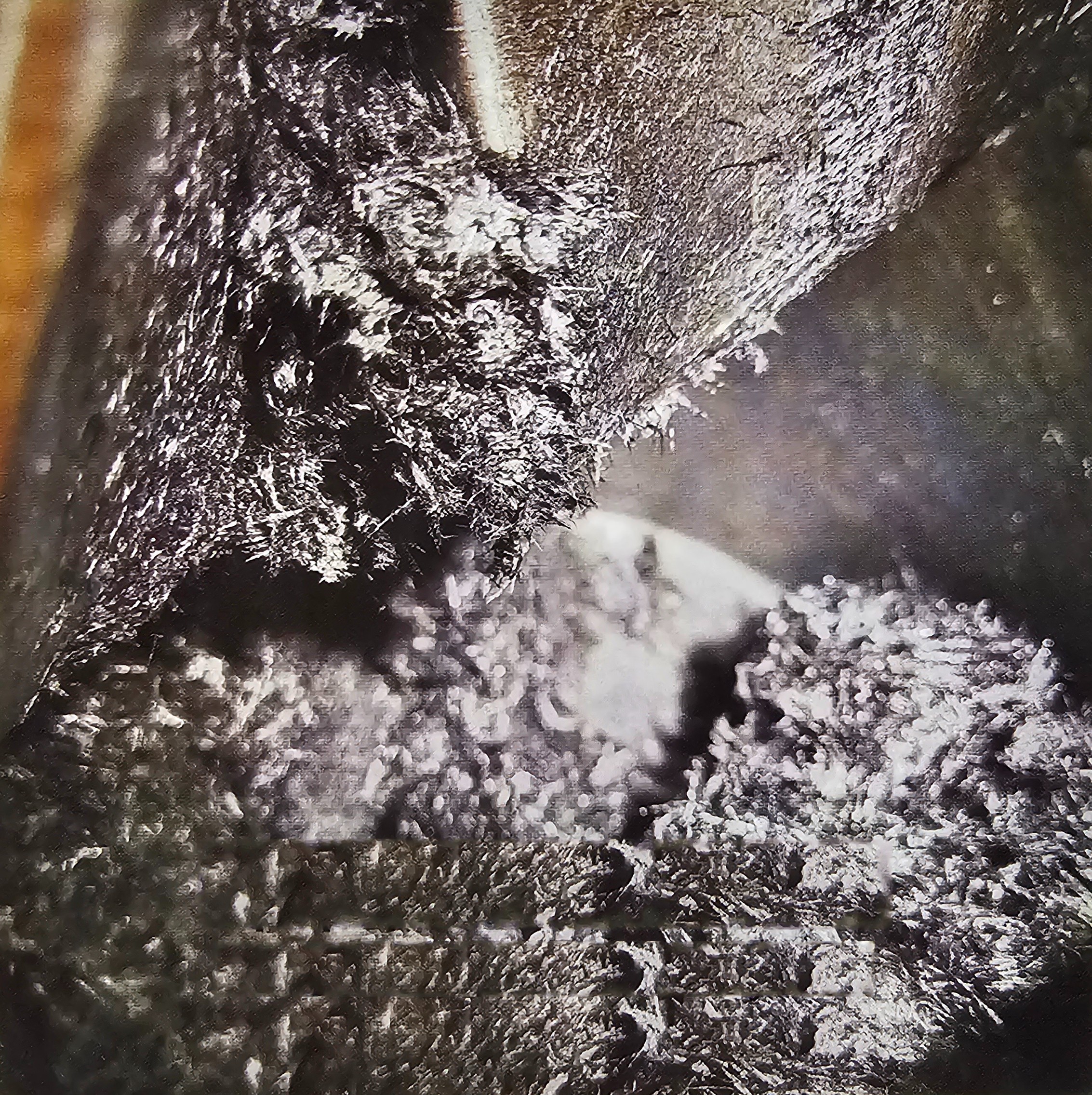 立式捏合機碳纖維復合材料攪拌案例.jpg 立式捏合機碳纖維復合材料攪拌案例.jpg